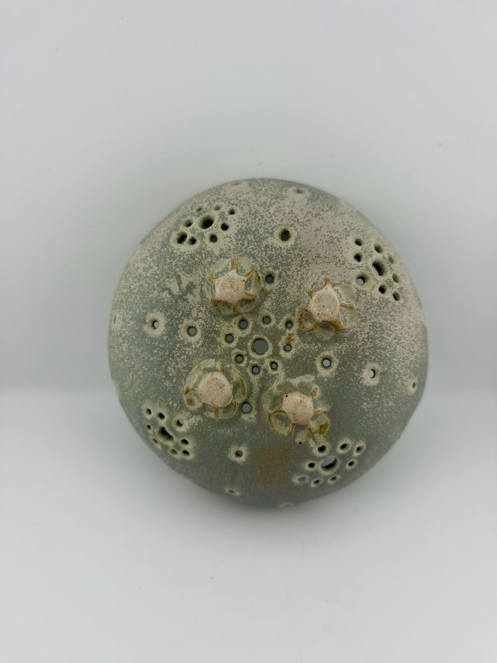 Earthy Berry Bowl