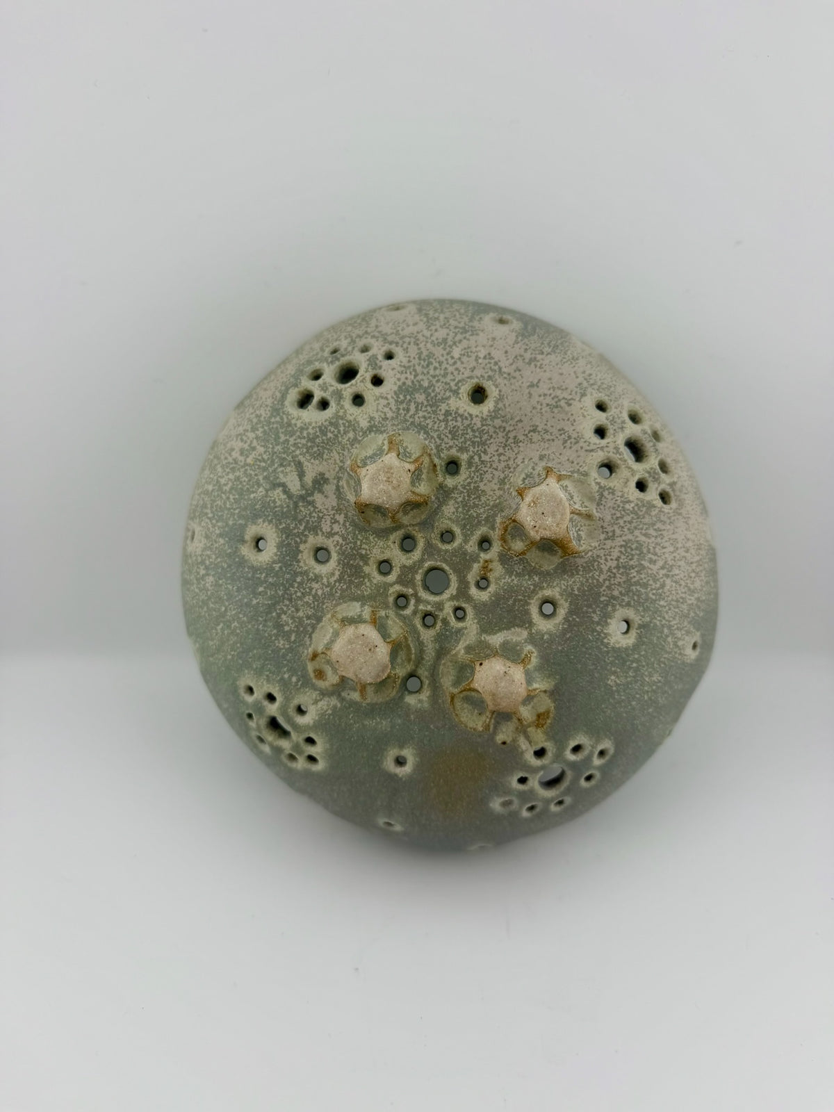 Earthy Berry Bowl