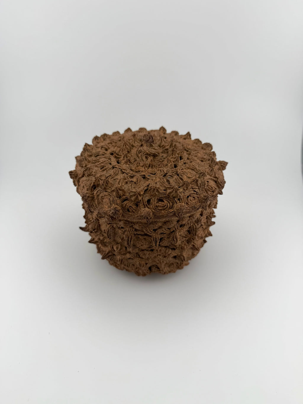 Acorn Jar